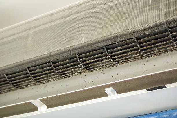 Best Dryer Vent Cleaning in Batesburg Leesville, SC